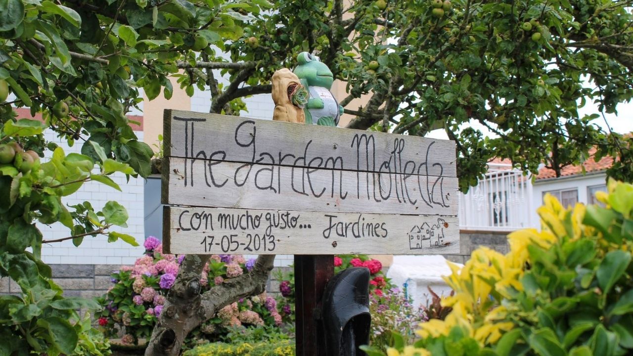 El jardín de Corvera que empezó como un hobbie y ahora tiene 800 plantas: «Tardo cinco horas en regar» - Vimarsana News