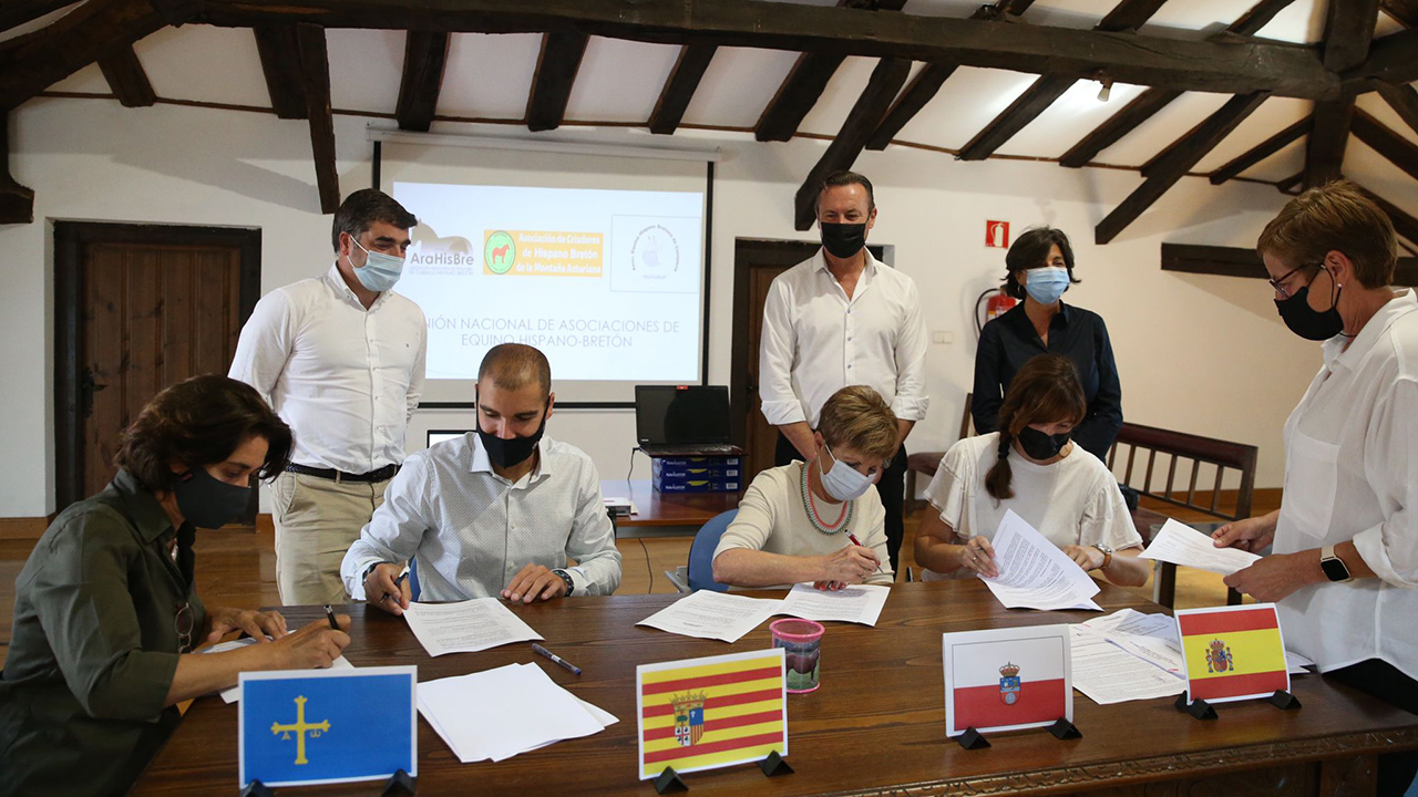 Asturies, Cantabria y Aragón creen la «Unión Nacional de Equino Hispano Bretón» - Vimarsana News
